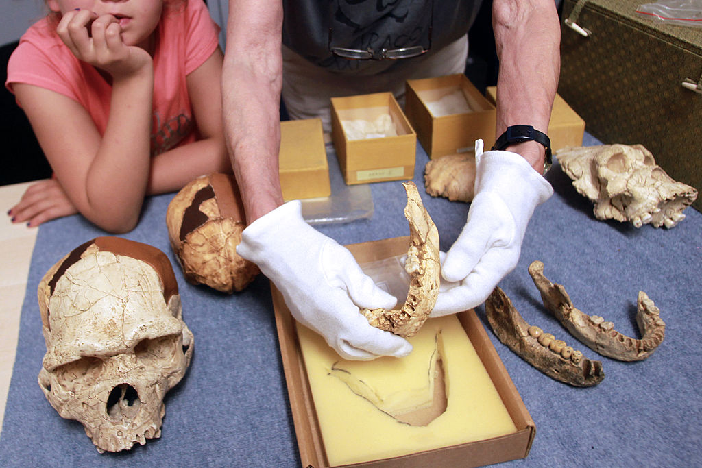 new-research-reveals-our-ancestors-were-tougher-than-we-ever-knew