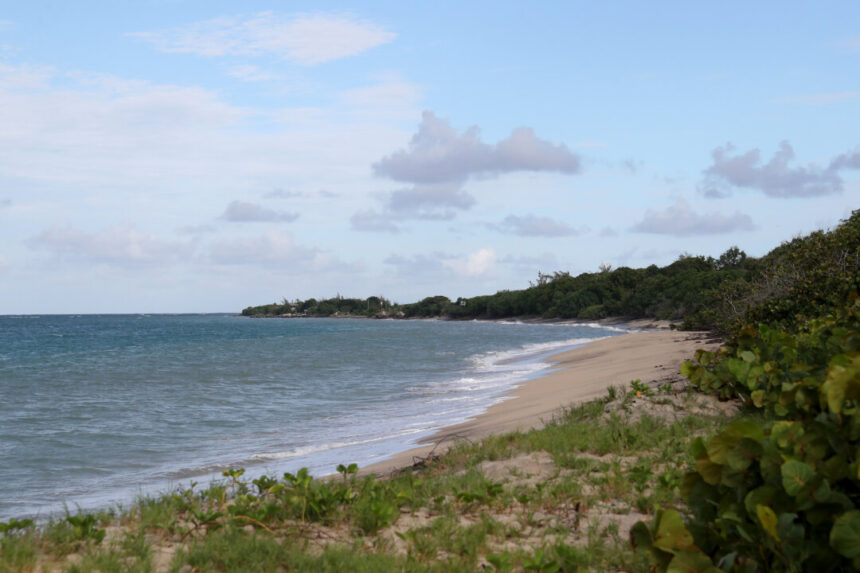 caribbean-nation-of-st-kitts-launches-investigation-after-19-people-found-dead-in-drifting-vessel