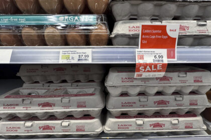 as-egg-prices-continue-to-soar,-grocers-like-trader-joe’s-limit-how-many-cartons-customers-can-buy