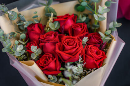 the-trail-of-the-valentine’s-day-rose