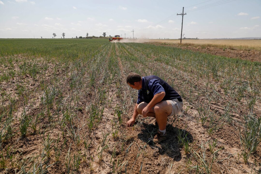 myths-sully-debate-on-south-africa’s-white-owned-farms,-say-experts myths-sully-debate-on-south-africa’s-white-owned-farms,-say-experts