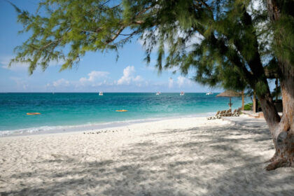 family-of-canadian-woman-bitten-by-shark-in-turks-and-caicos-island-calls-attack-a-‘nightmare’