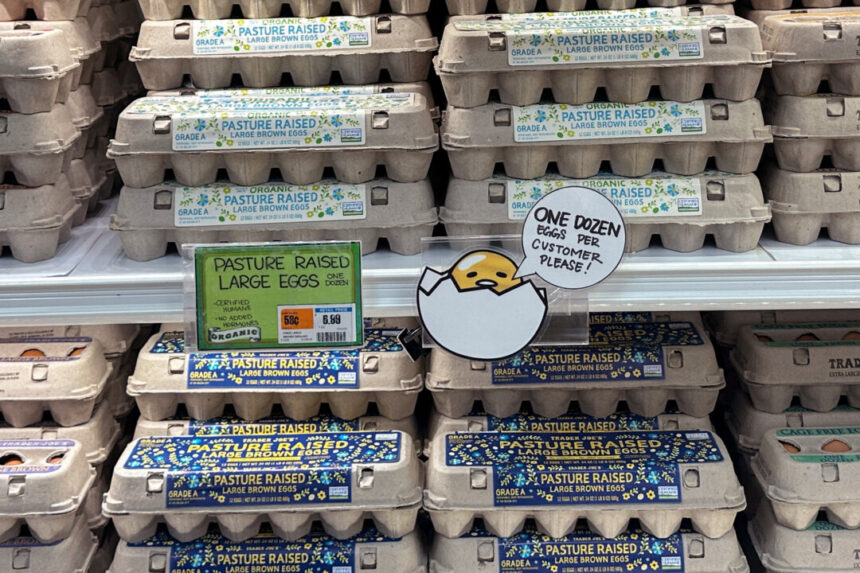 turkey-to-export-15,000-tonnes-of-eggs-to-us-to-ease-bird-flu-disruptions