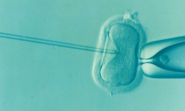 ivf-clinic-in-australia-rocked-by-a-cyberattack