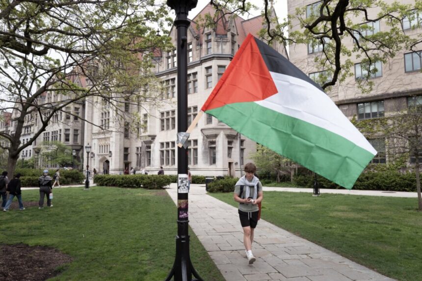 national-gallery-of-australia-faces-backlash-for-censoring-palestinian-flags-in-exhibition