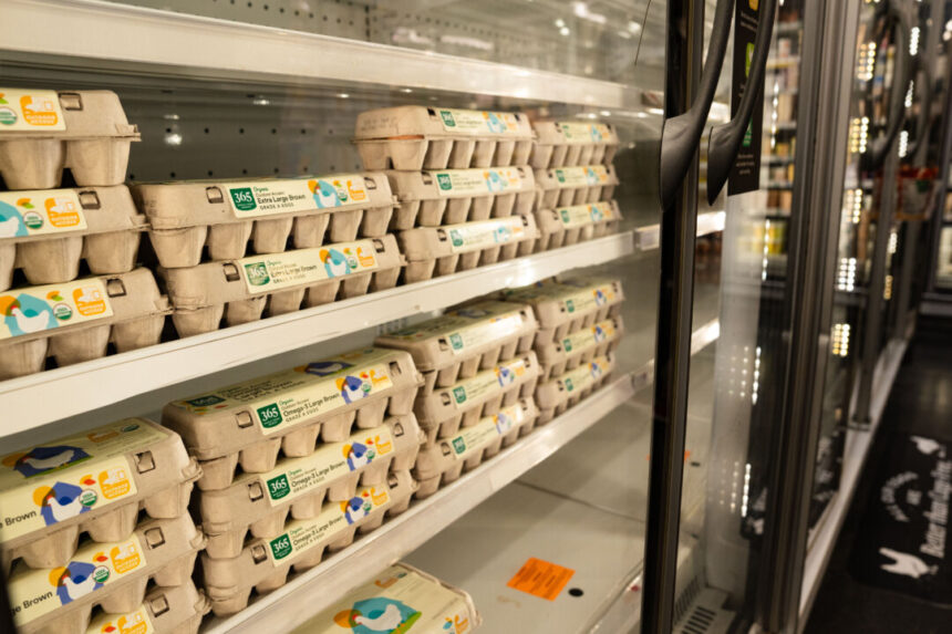 egg-smuggling-on-the-rise-as-bird-flu-mitigation-pushes-prices-to-new-highs