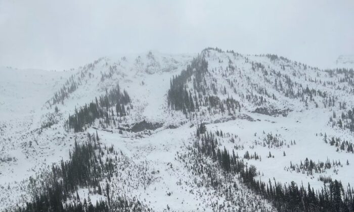 widespread-avalanche-warning-issued-across-british-columbia-and-alberta