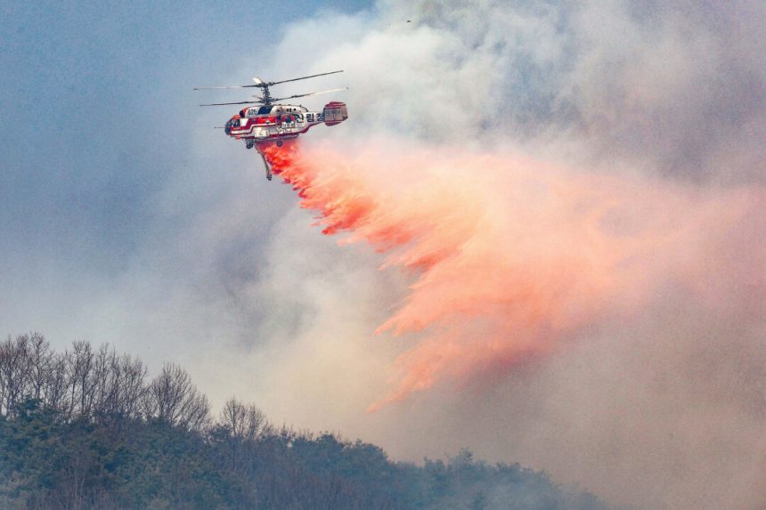 at-least-24-dead-as-wildfires-ravage-southern-south-korea-and-force-thousands-to-evacuate