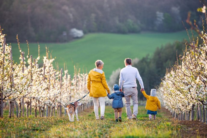 what-you-should-know-about-estate-taxes-this-year