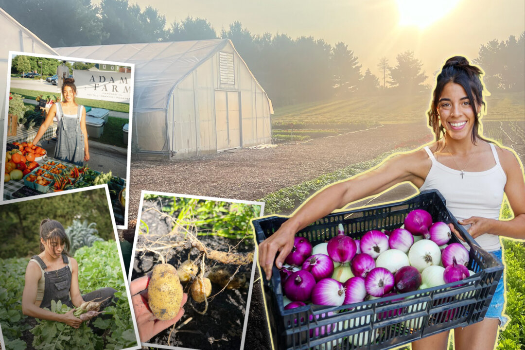 ‘beyond-organic’:-illinois-woman-starts-farm-to-table-regenerative-farm-based-on-christian-faith