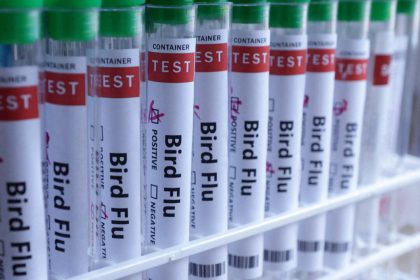 bird-flu-becomes-‘urgent’-notifiable-condition-in-victoria