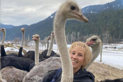 urgent:-help-save-our-ostriches