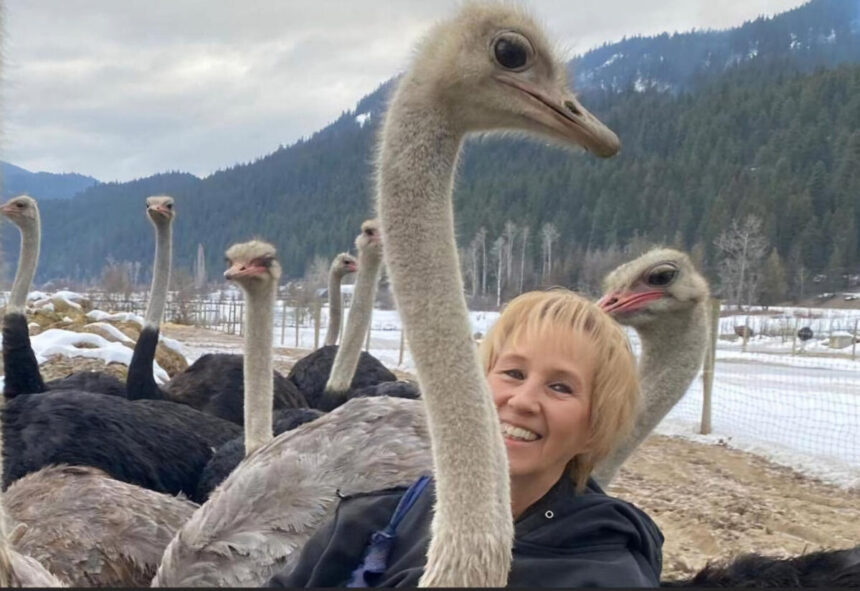 urgent:-help-save-our-ostriches