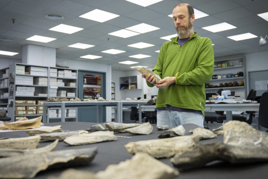 ancient-humans-made-tools-from-animal-bones-1.5-million-years-ago