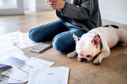 credit-cards-auto-loans.-trouble-ahead?