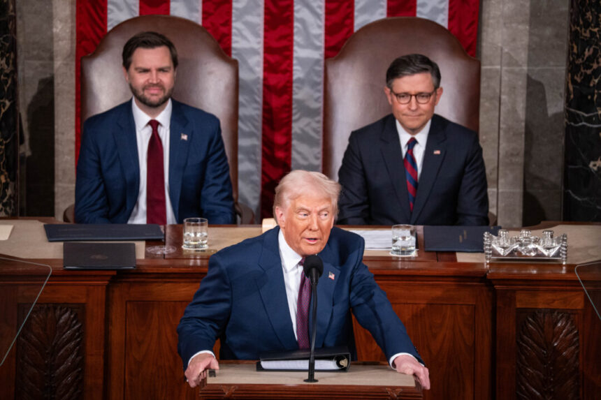 america-in-brief