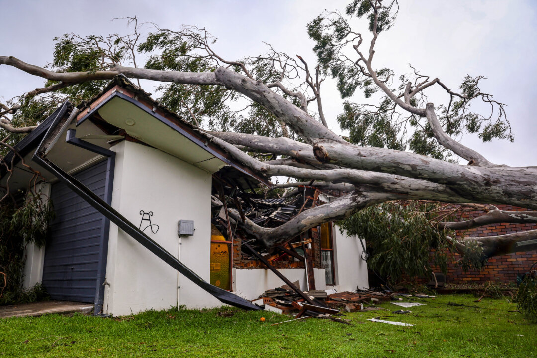 insurance-council-calls-for-quick-claim-lodgment-for-ex-cyclone-alfred-damages insurance-council-calls-for-quick-claim-lodgment-for-ex-cyclone-alfred-damages