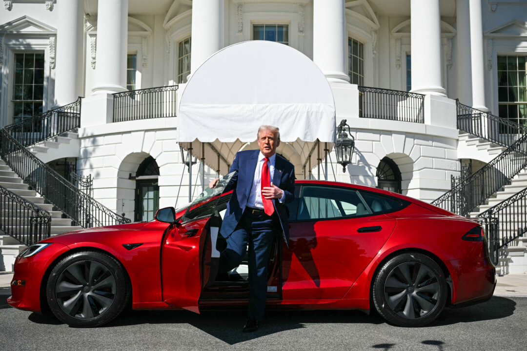 day-in-photos:-donald-trump-endorses-tesla,-greenland-elections,-and-rescued-elephant day-in-photos:-donald-trump-endorses-tesla,-greenland-elections,-and-rescued-elephant