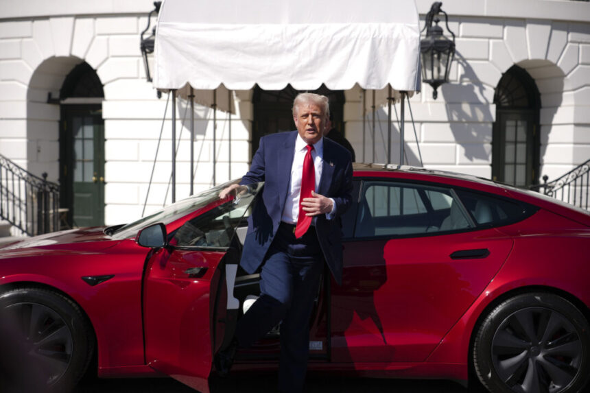 trump-says-people-vandalizing-tesla-dealerships-could-be-labeled-domestic-terrorists