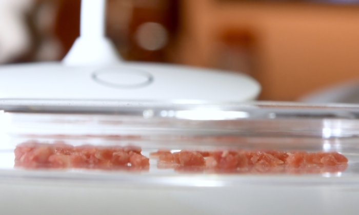 australian-startup-to-participate-in-uk-initiative-to-improve-lab-grown-food-safety