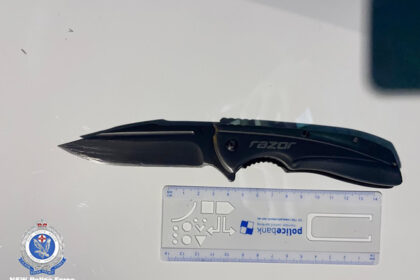 ‘you-will-be-caught’:-nsw-seize-91-knives,-and-machetes-under-new-wanding-powers