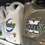 bayer-ordered-to-pay-$2-billion-by-georgia-jury-in-roundup-cancer-case
