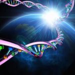 the-origin-of-mankind