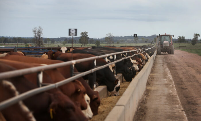 budget-2025:-nearly-$7-million-to-protect-agriculture-exports-amid-trump-tariff-fears