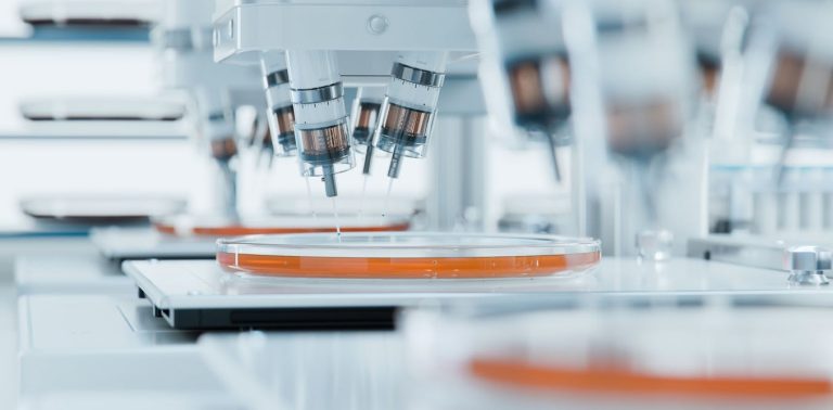 3d-printed-grafts:-shaping-the-future-of-bone-and-tissue-regeneration