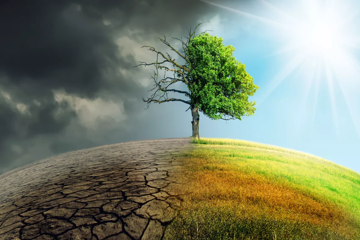 the-climate-con-is-over