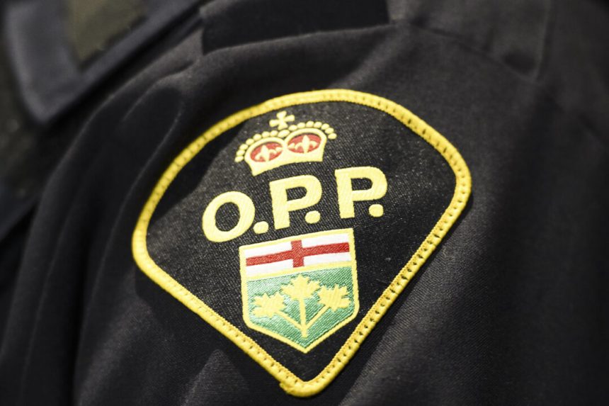 ontario-man-charged-in-canada,-us-for-texas-republican-party-data-breach