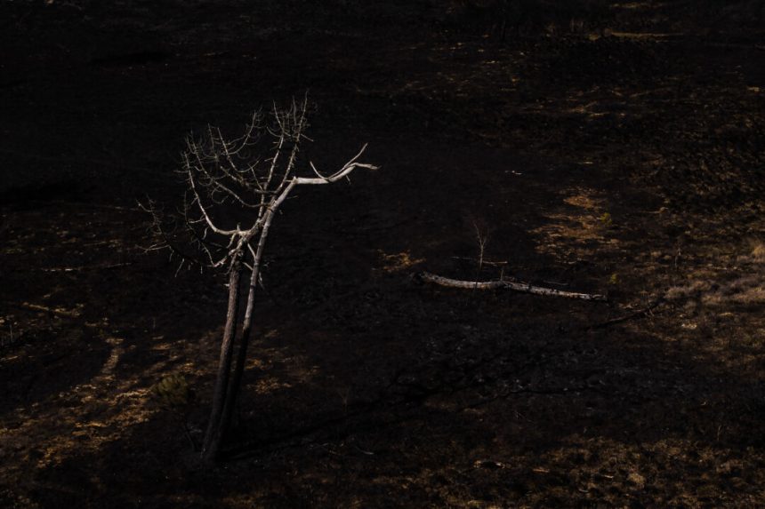 day-in-photos:-fire-in-england,-earthquake-in-myanmar,-and-protests-in-italy