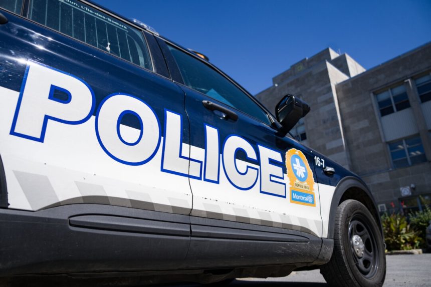 seven-suspects-arrested-in-montreal-anti-mafia-operation