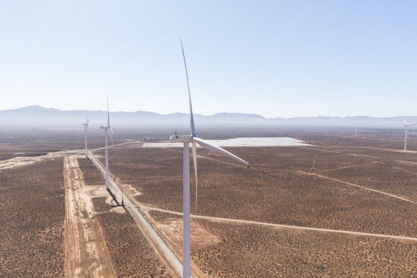 adelaide-in-prime-position-to-host-cop31-as-australia-pushes-for-un-climate-event