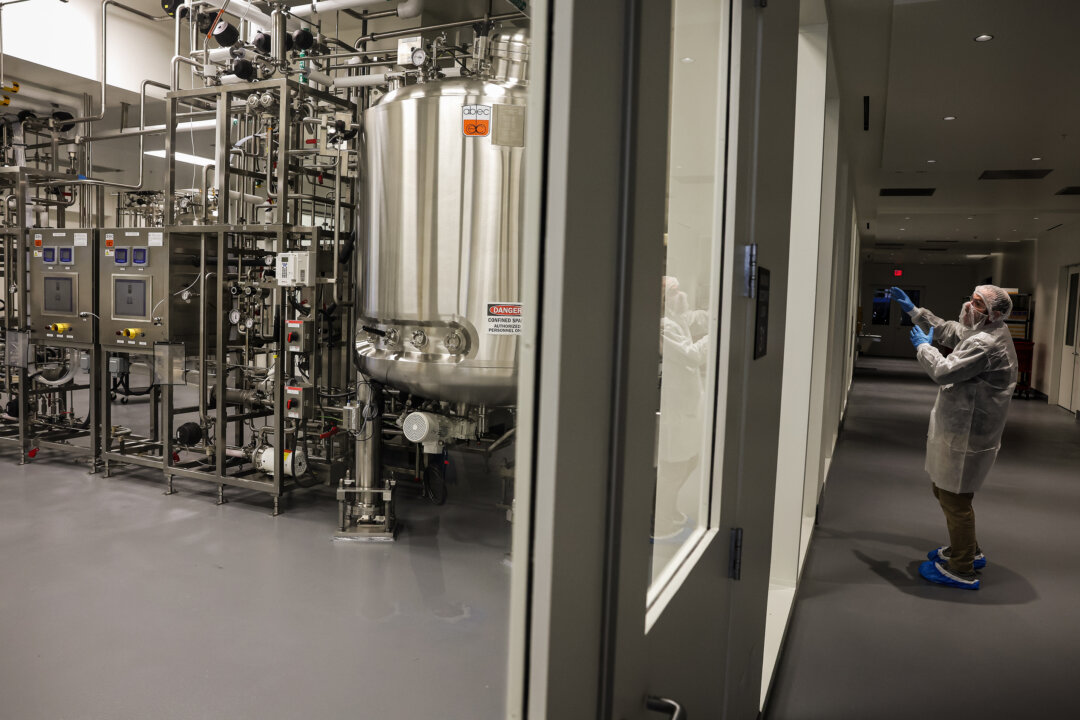 australia-nears-first-approval-of-lab-grown-meat-for-sale