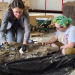 bc-researchers-confirm-footprints-of-three-toed-dinosaur-with-club-like-tail