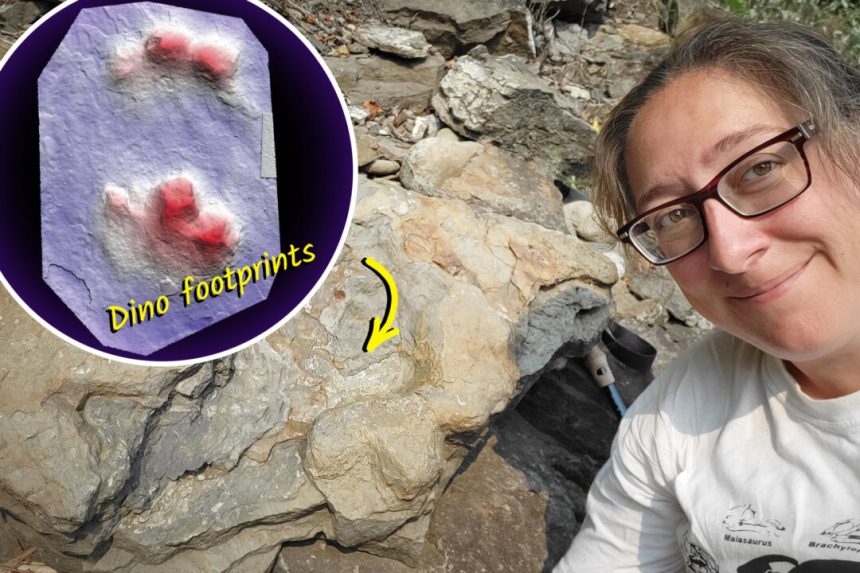 scientists-find-world’s-first-‘club-tailed’-ankylosaurid-dinosaur-footprints-in-bc-riverbed
