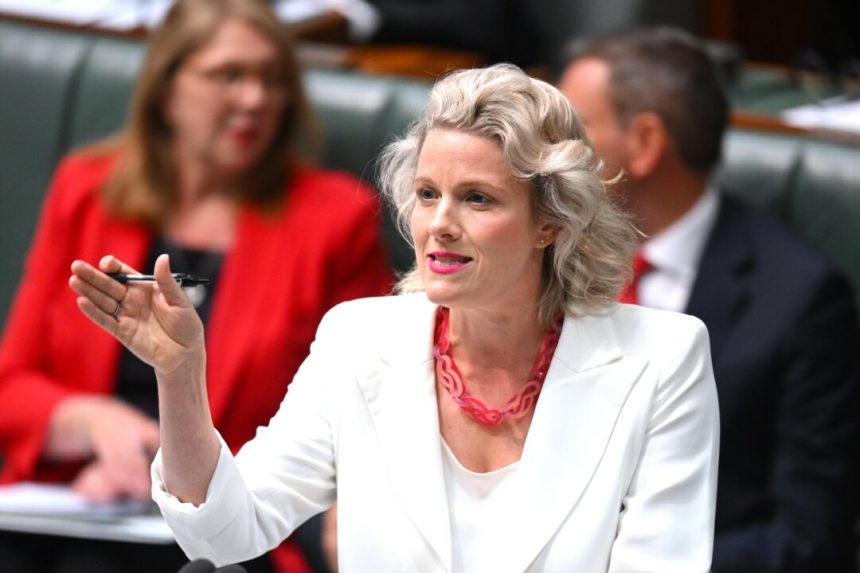 labor-minister-asks-to-‘silence’-liberal-senator’s-microphone-during-work-from-home-debate