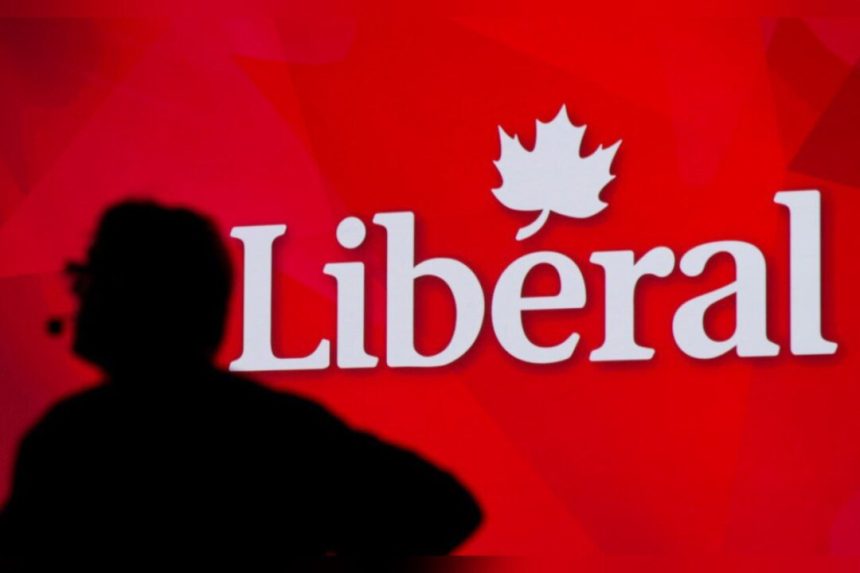 former-edmonton-liberal-party-candidate-warned-against-using-signs