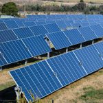 solar-or-shiraz?-community-and-mps-rally-against-solar-farm-in-heathcote-wine-region