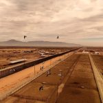 us-might-restrict-livestock-imports-from-mexico-over-screwworm-concerns:-usda