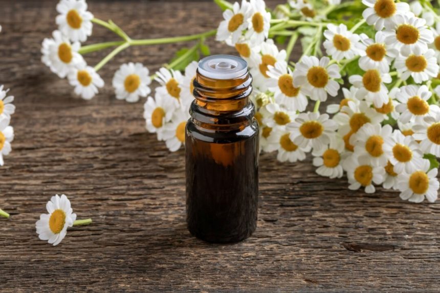 is-feverfew-the-petal-powered-migraine-whisperer?