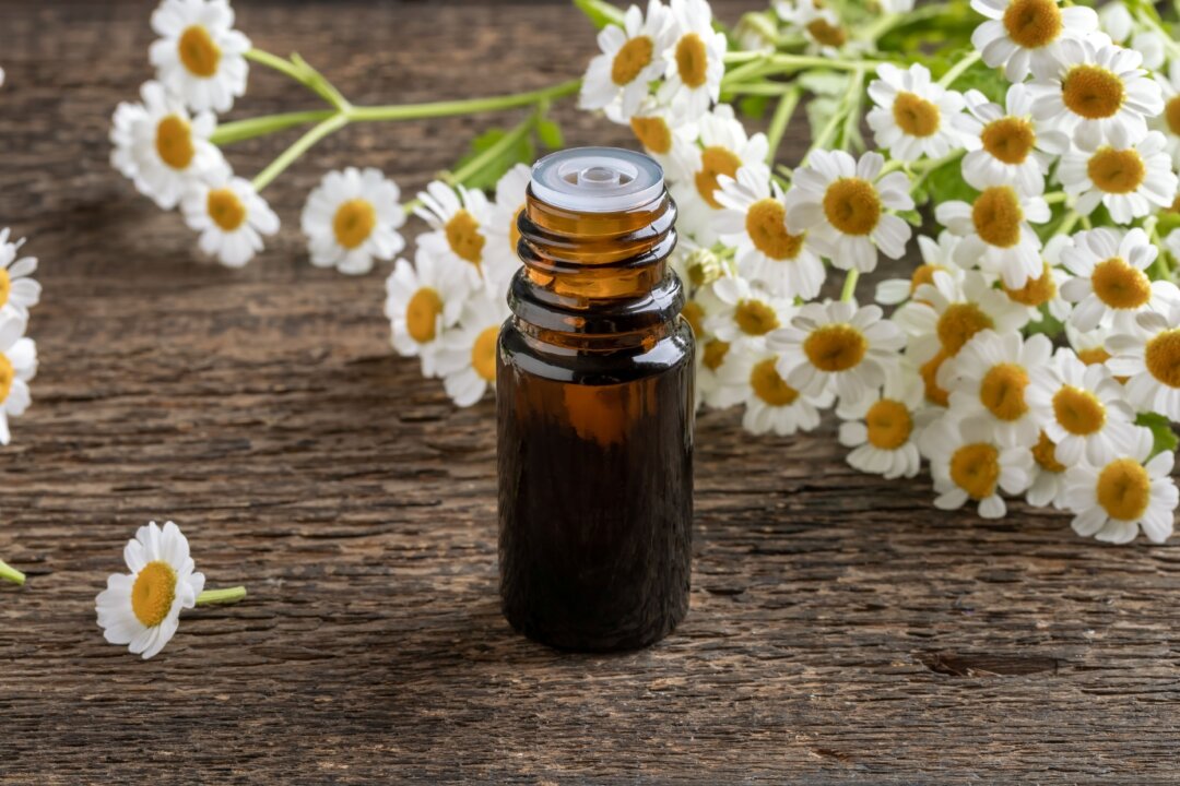 is-feverfew-the-petal-powered-migraine-whisperer?