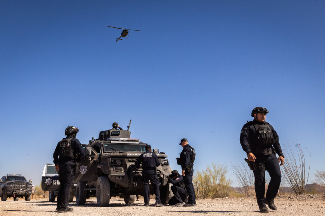 in-war-against-cartels,-mexican-state-finds-new-ways-to-fight-back