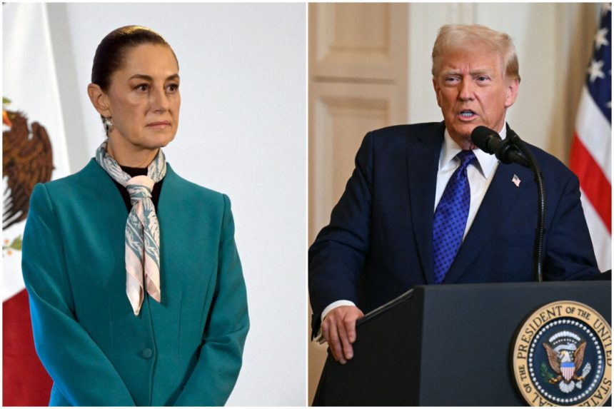 trump-confirms-he-offered-to-send-us-troops-to-mexico-to-fight-cartels