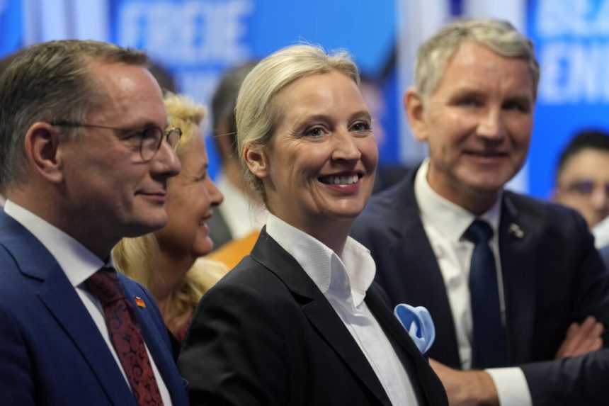 afd-sues-german-spy-agency-after-being-labeled-an-extremist-party
