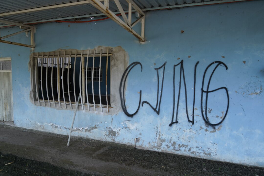 mexican-mayor-arrested-in-connection-with-cartel-training-camp-where-human-remains-found mexican-mayor-arrested-in-connection-with-cartel-training-camp-where-human-remains-found