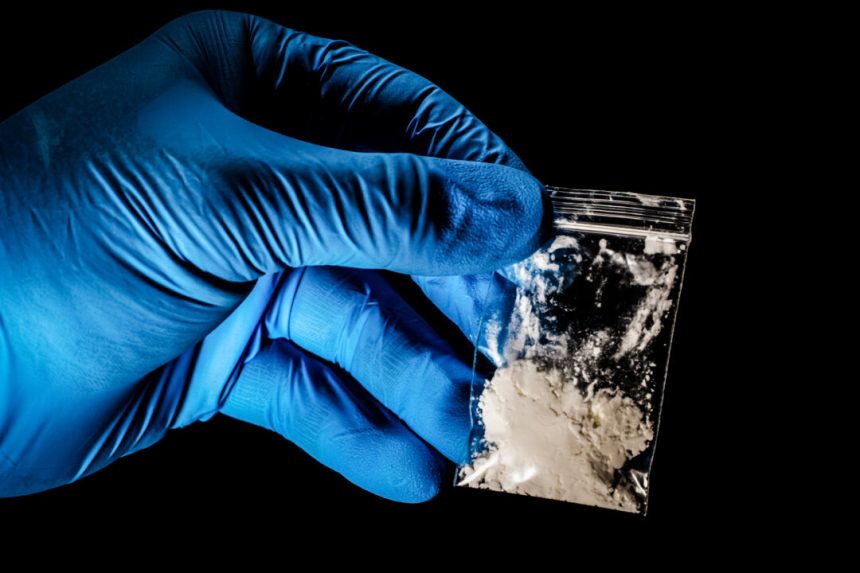 china-ramped-up-fentanyl-precursor-production-to-target-us,-expert-says