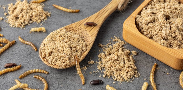 ‘i-will-not-eat-the-bugs’:-examining-a-right-wing-narrative-about-scarcity-and-insect-consumption