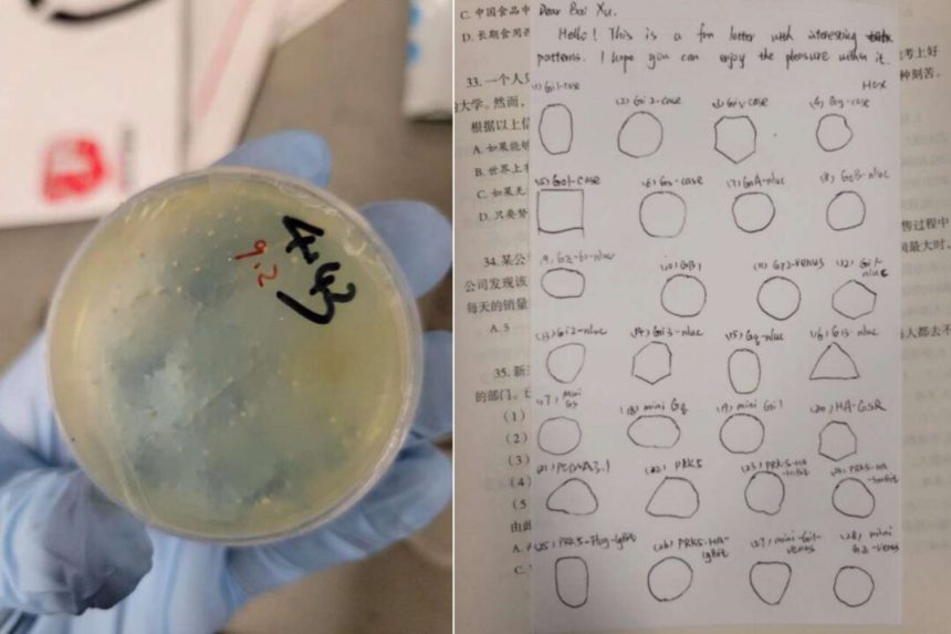 wuhan-researcher-charged-with-smuggling-biological-materials-into-us-lab